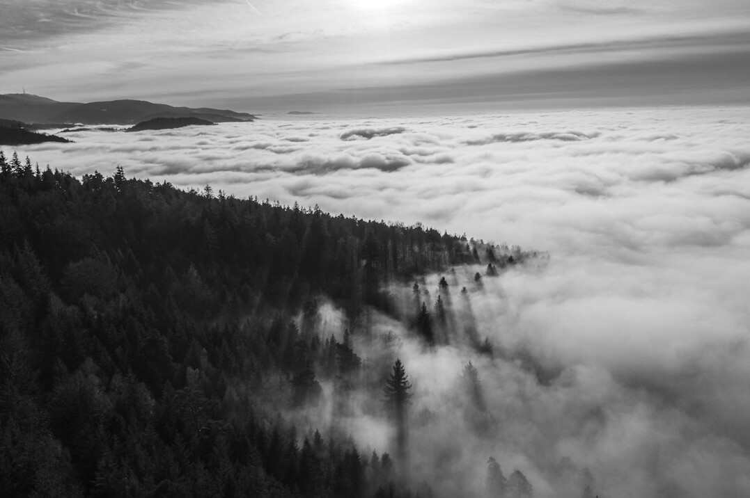 black forest germany landscape
