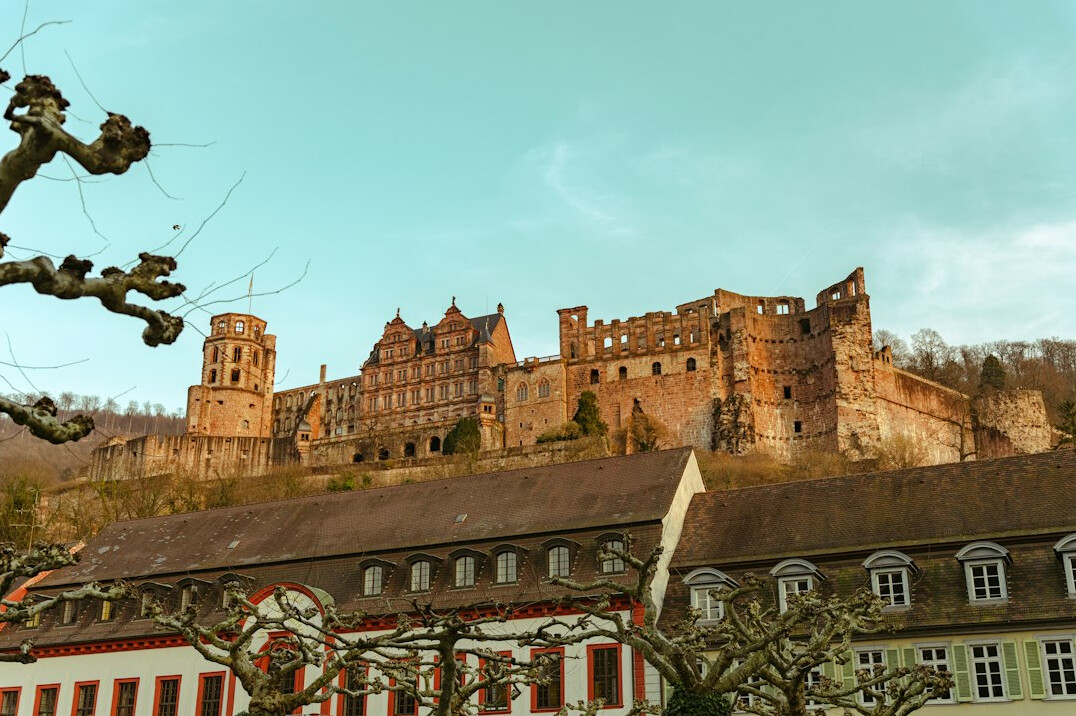 heidelberg castle view from below