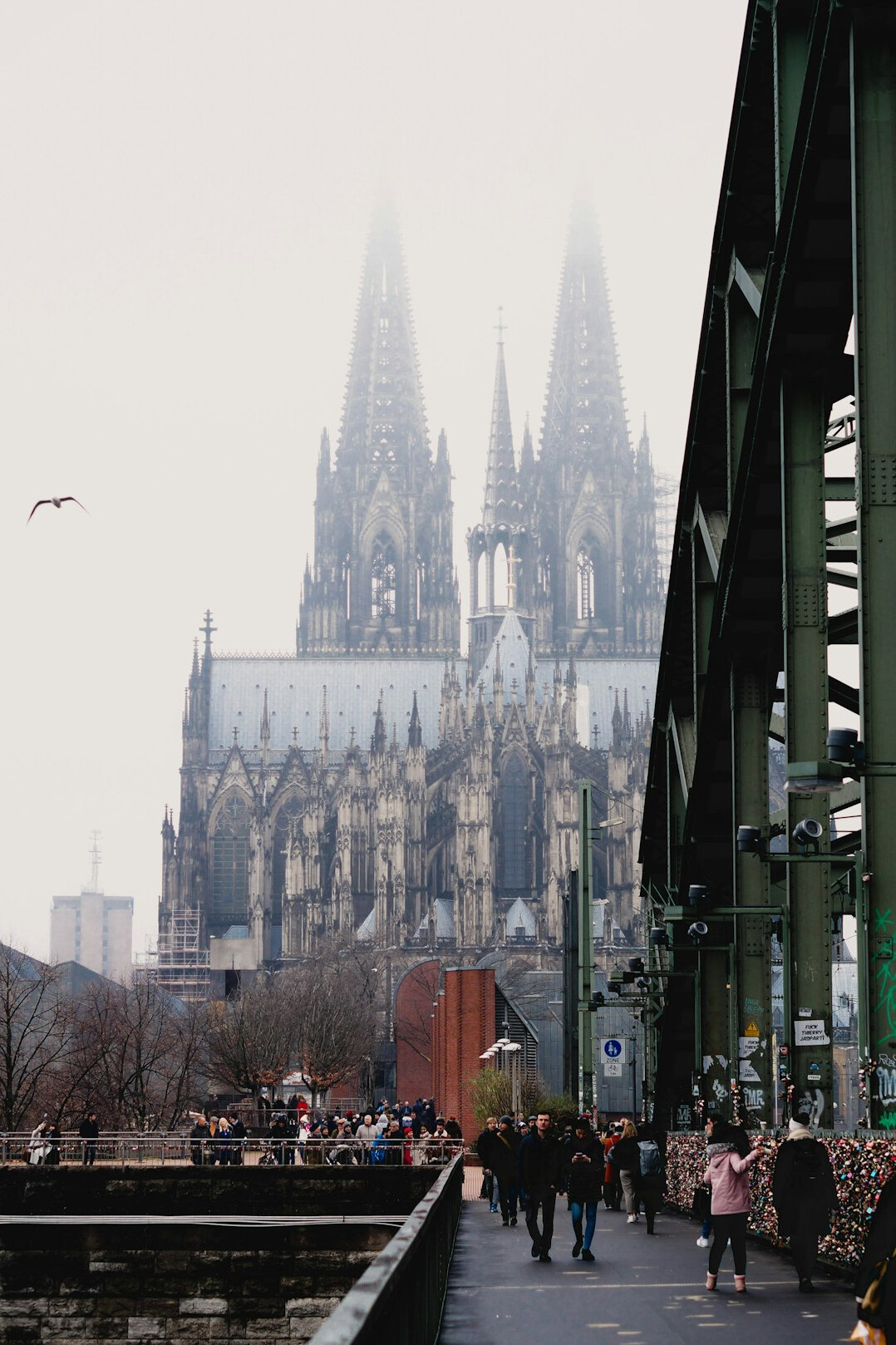 cologne cathedral view